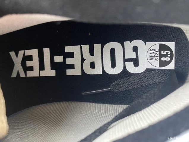 Rep 1 Particle Black Jordan Retro Element Grey Gore-Tex High DB2889-001 0709